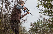Wisent schieten verdovingsgeweer
